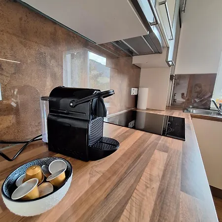 Appartement Schladmingerin Franz Schladming