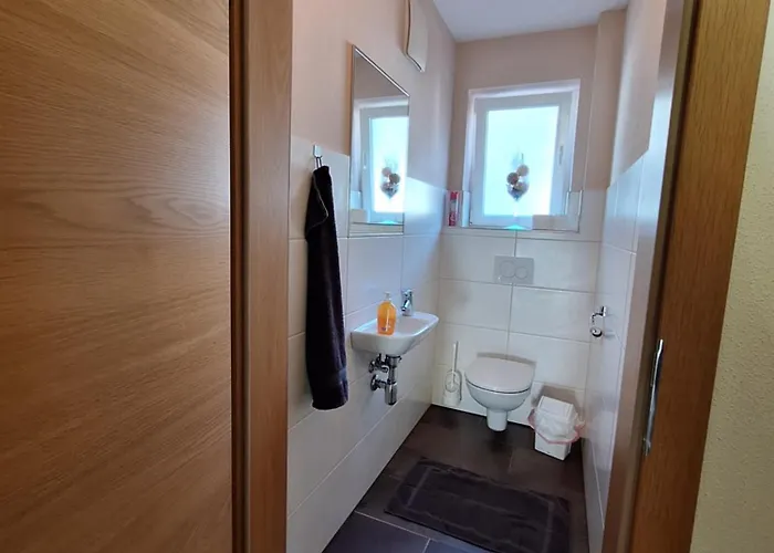 Schladmingerin Franz Daire